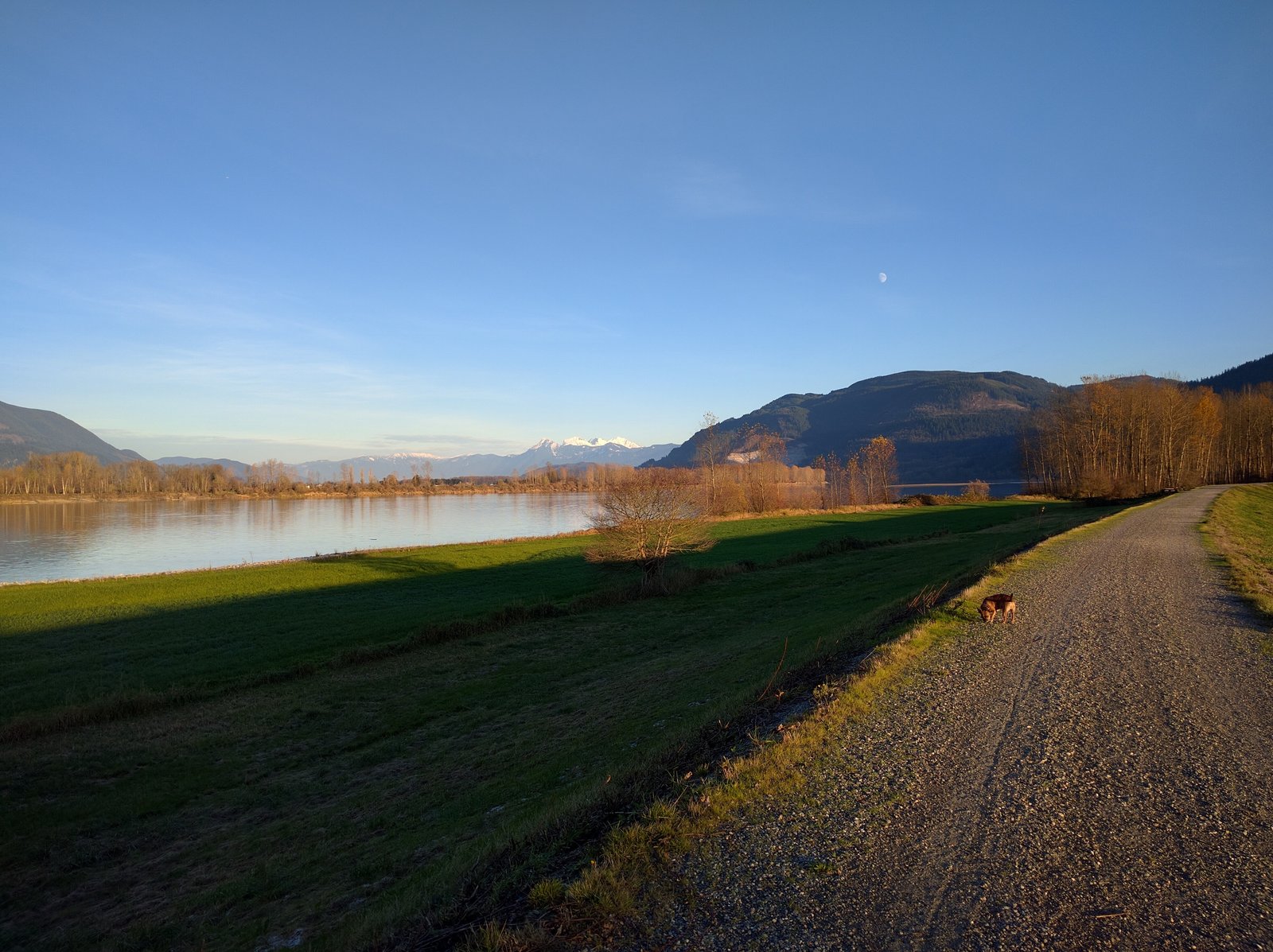 The dike trail along the Fraser River at Matsqui Trail Regional Park