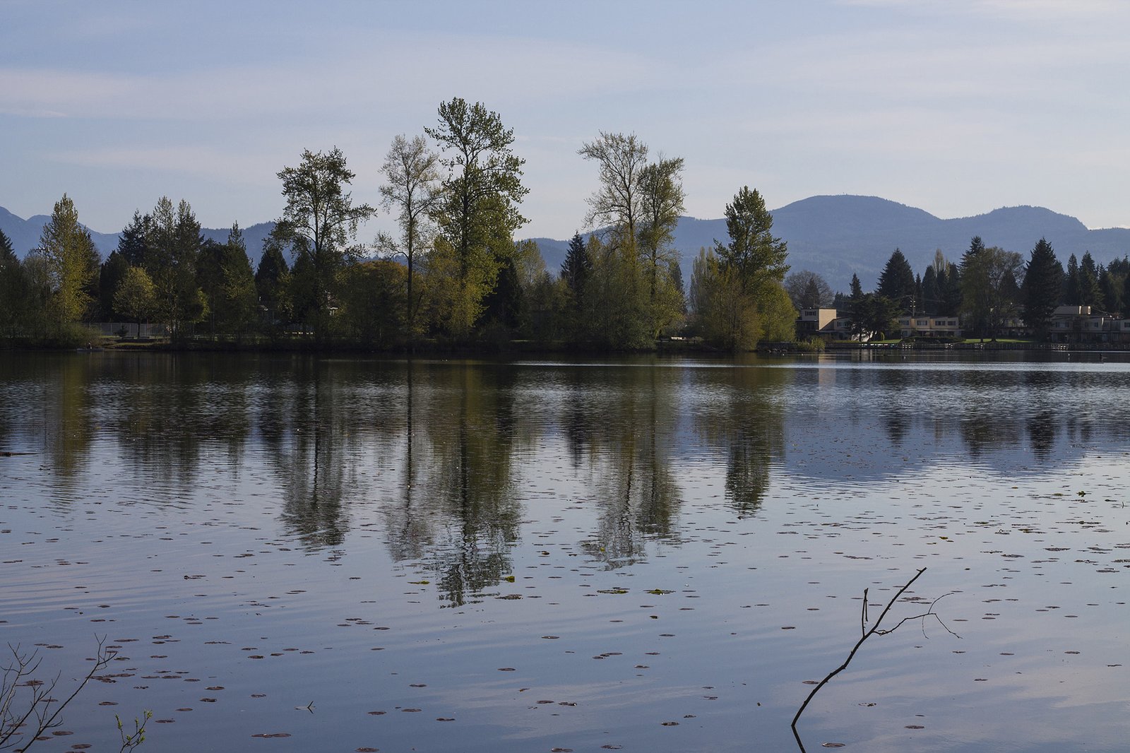 Mill Lake in Abbotsford, with trees and their reflections on calm water