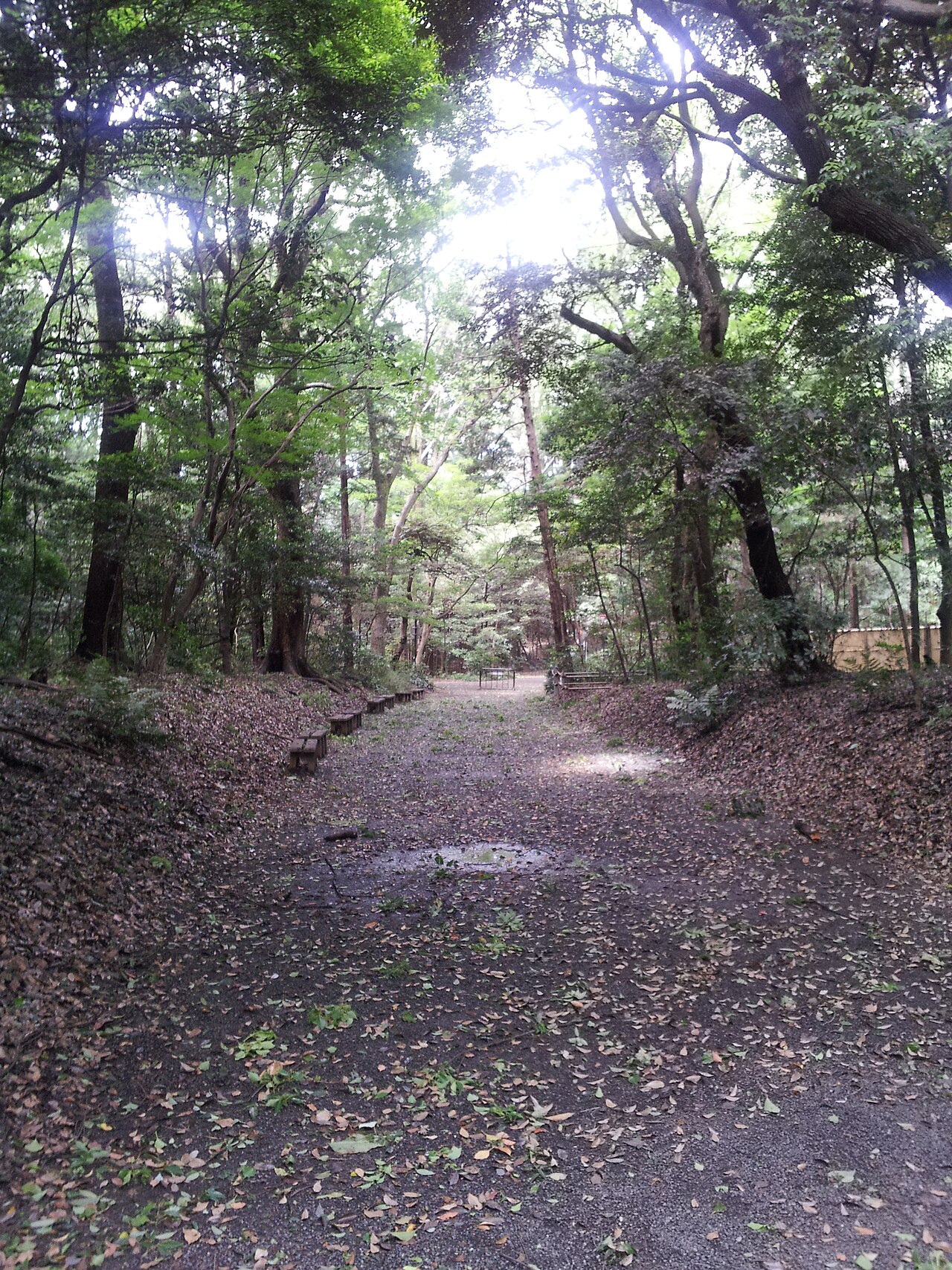 File:Meiji-jingu-pathway.jpg