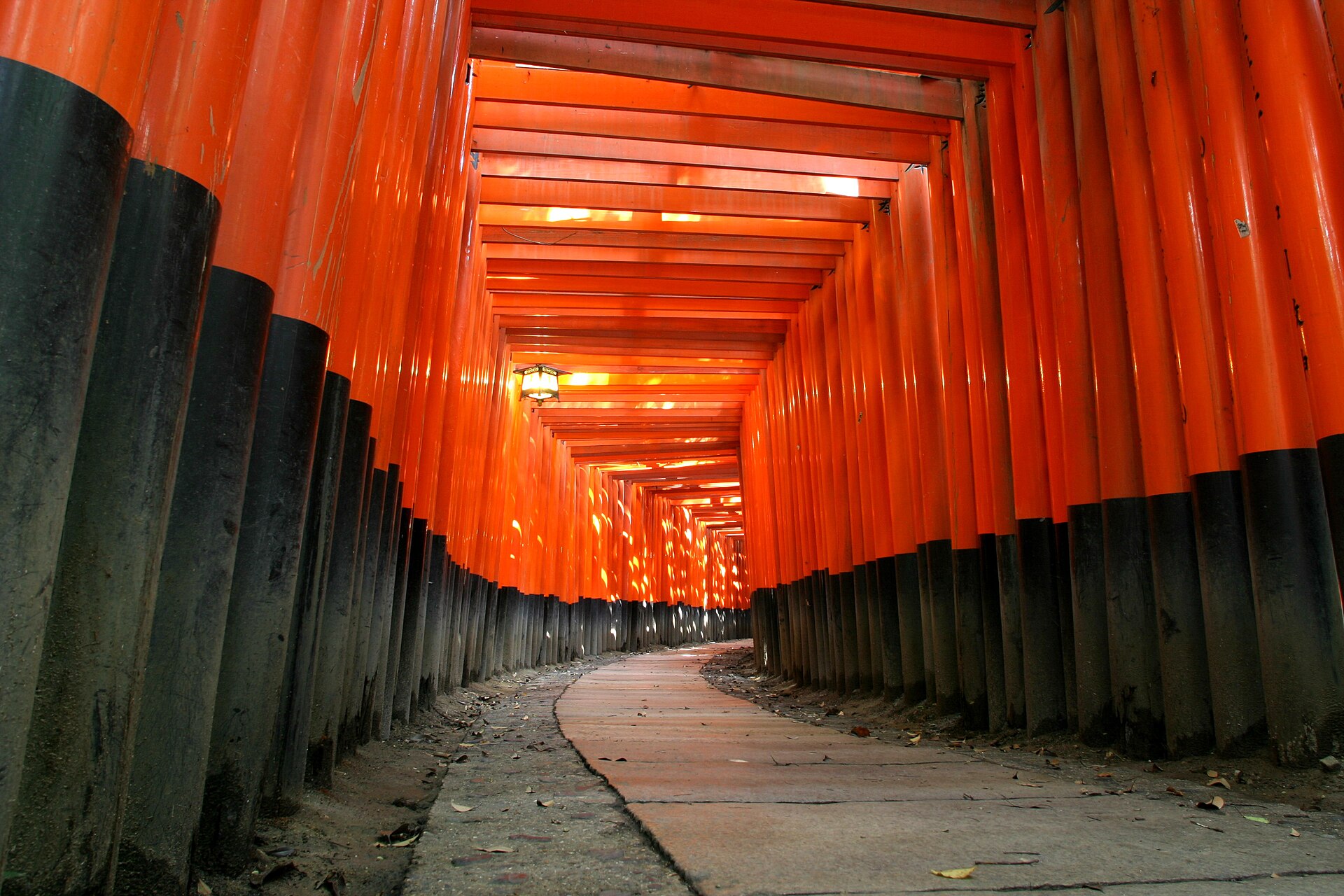 Fushimi Inari at dawn: go before 8am and have the gates to yourself.