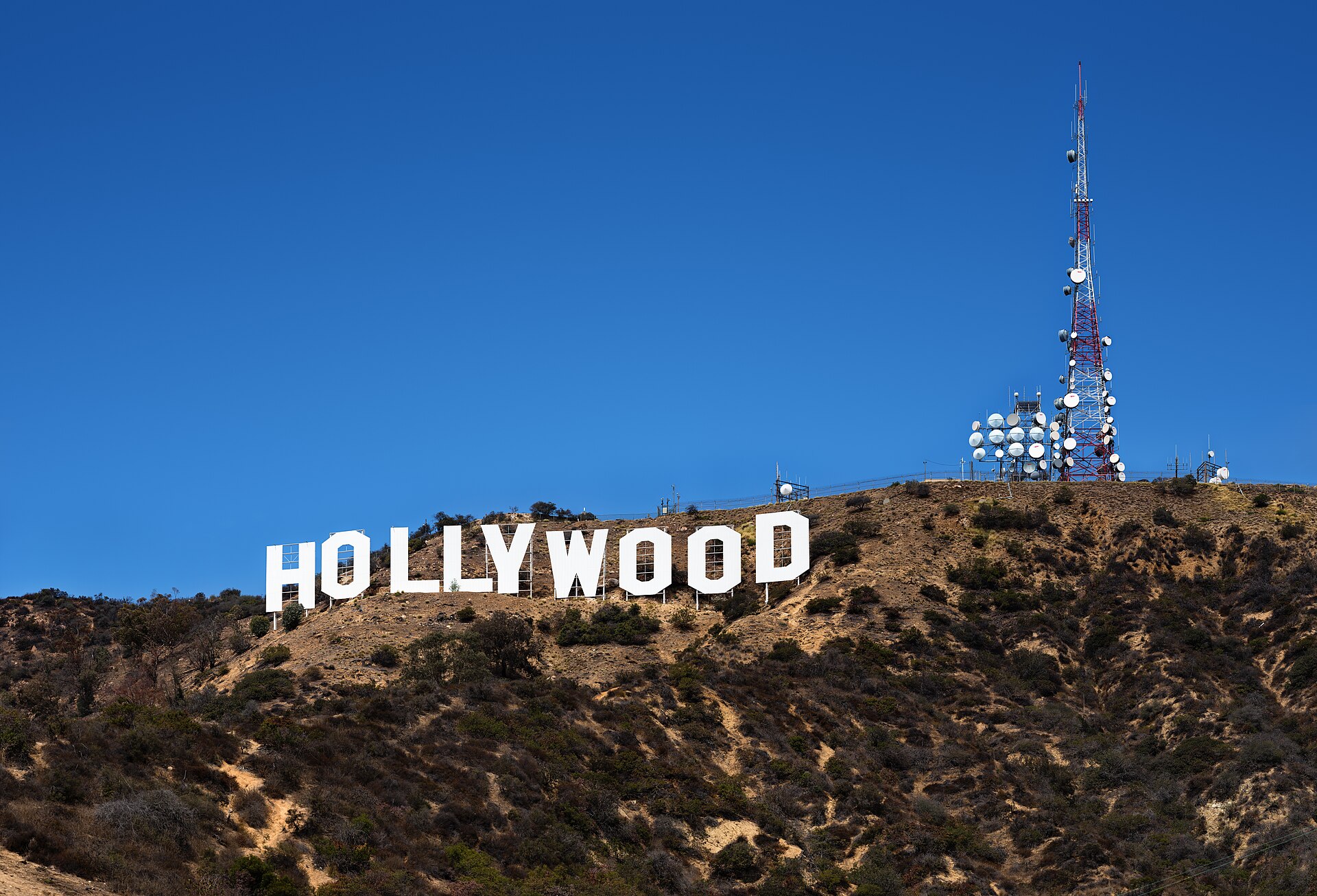 The Hollywood Sign: smaller than you expect, still worth the hike.