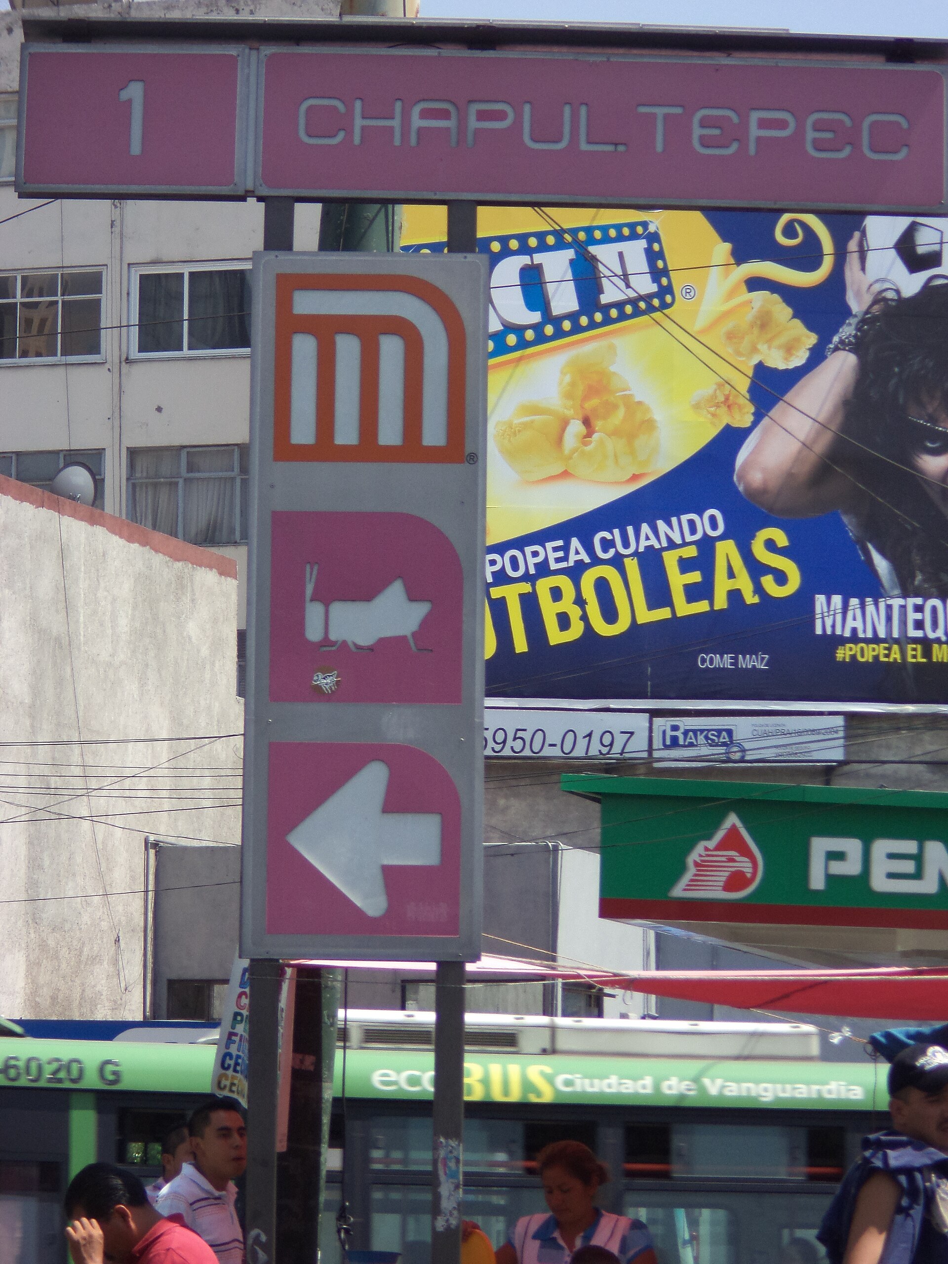 Chapultepec: the anthropology museum is world-class.