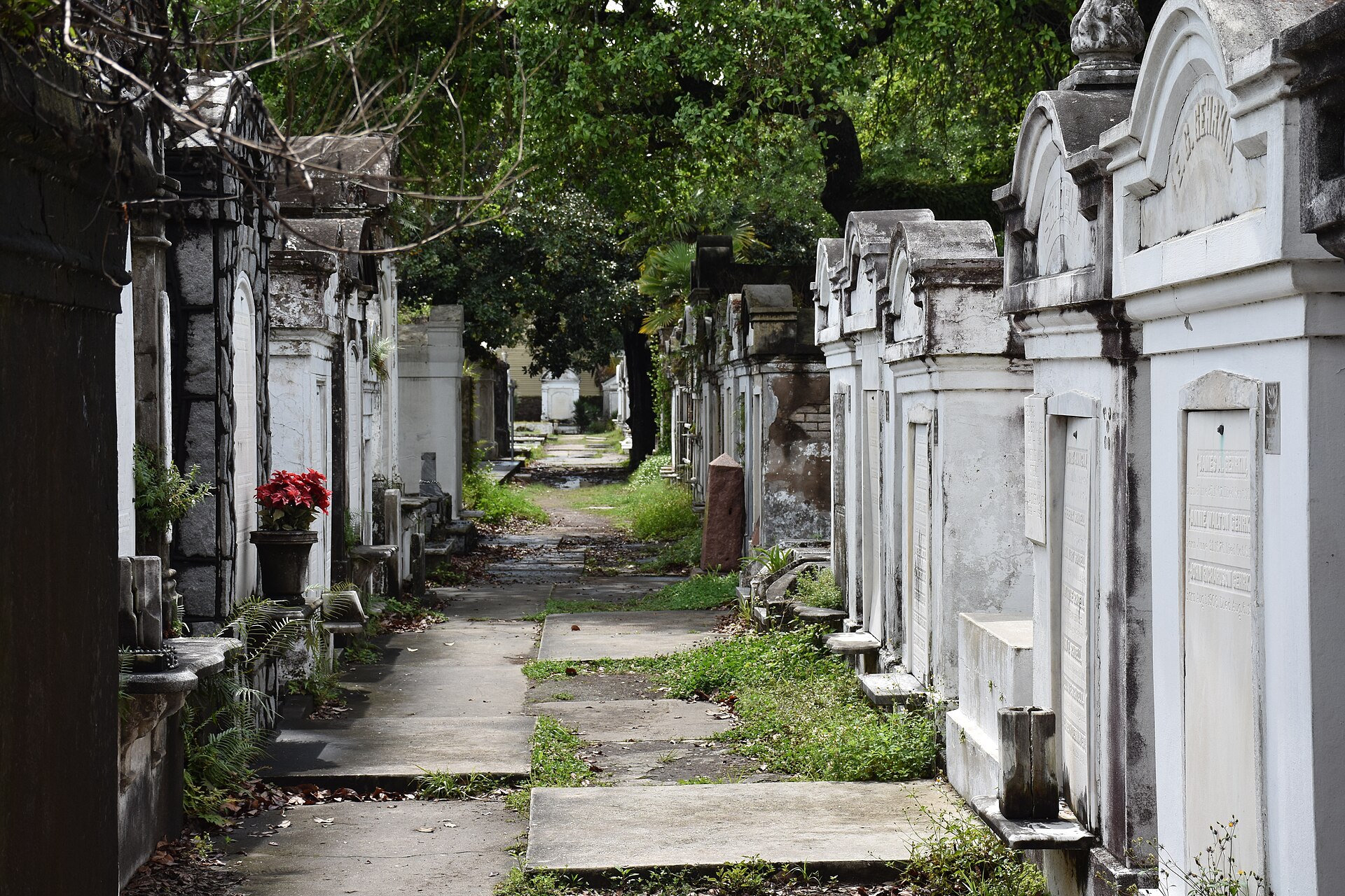 The Garden District: mansions, oaks, and the streetcar.