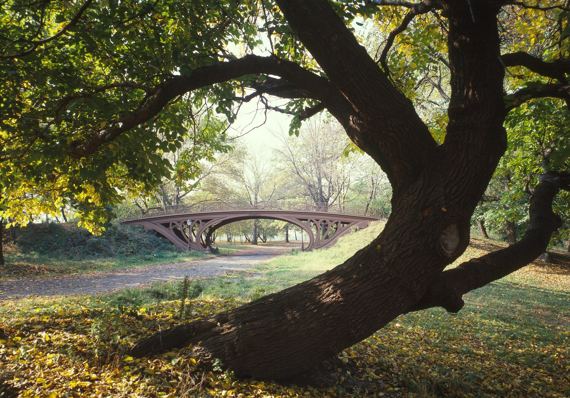 Central Park in the fall: give it a full afternoon, not a drive-by.