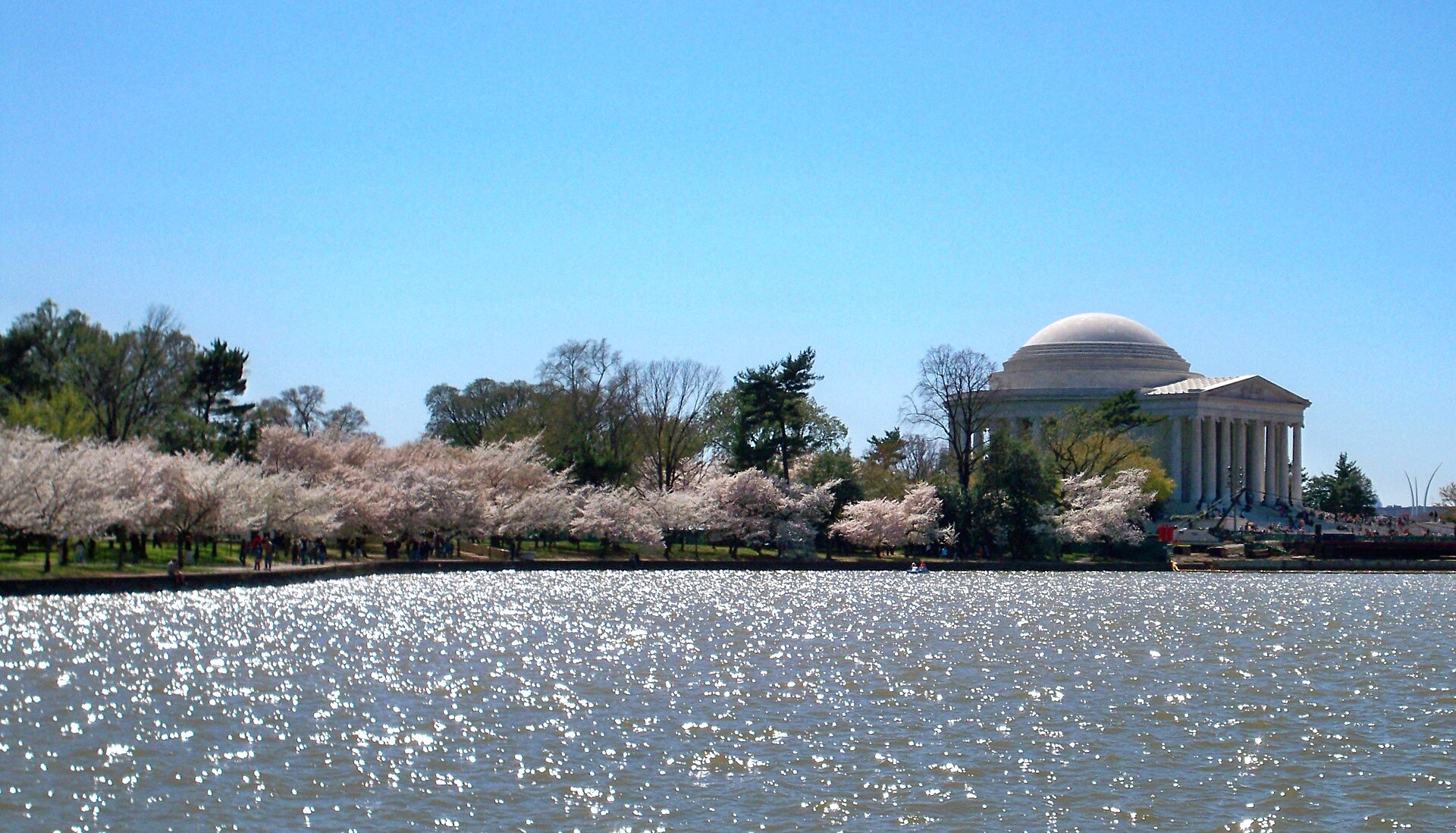 The Tidal Basin: the monuments framed by blossoms.